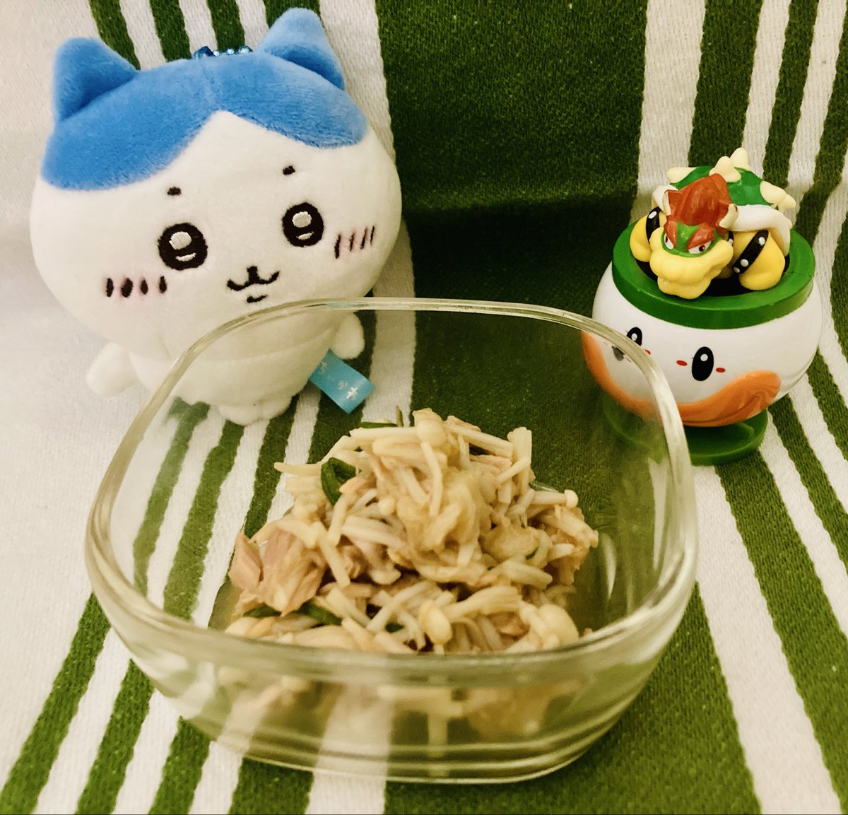 にゃんこおれ🐾 tweet media