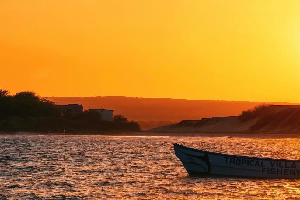 Amiin Maحammed Aw Cali tweet media