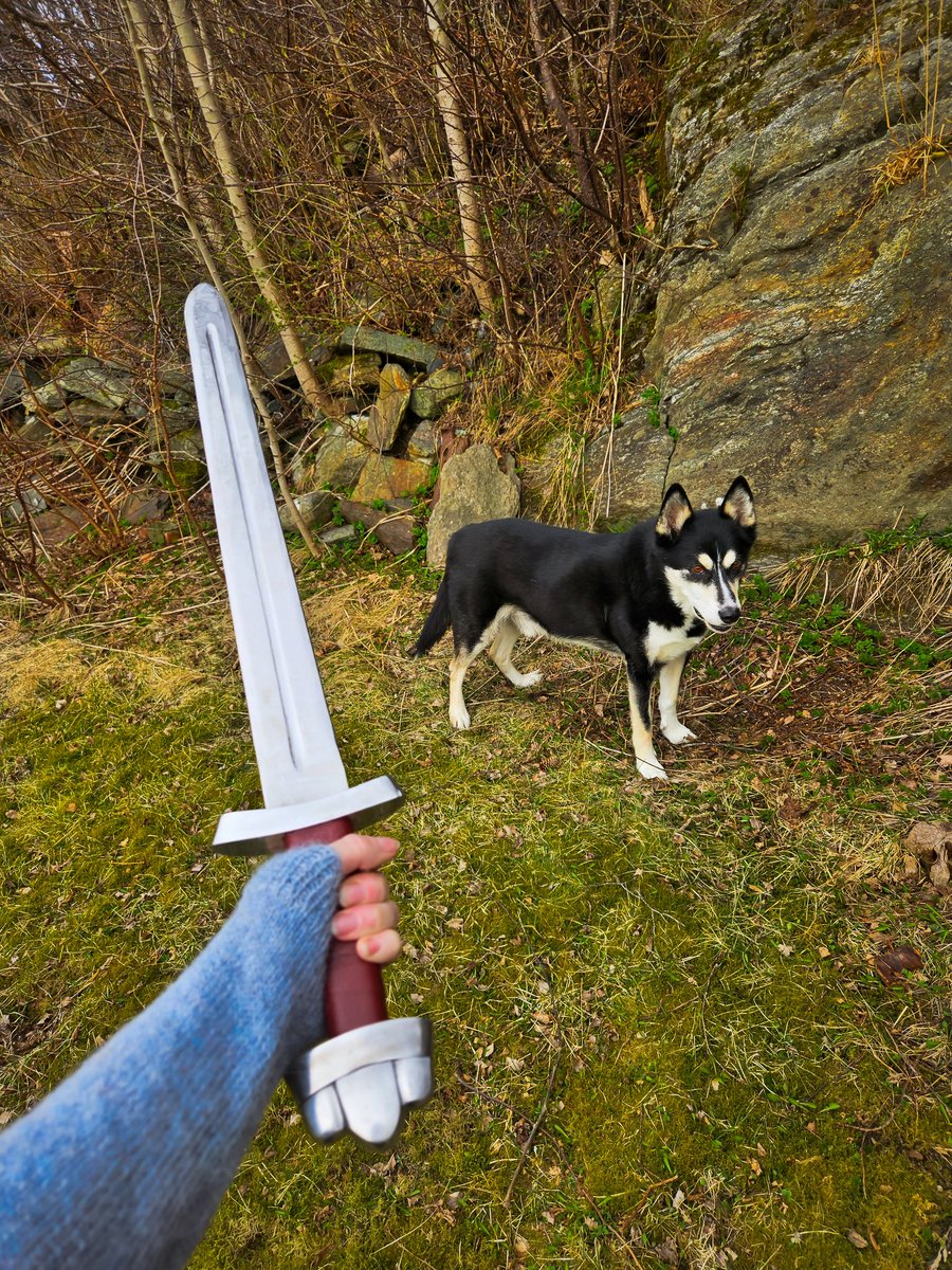 Jordis the Shieldmaiden 🛡️⚔️ tweet media