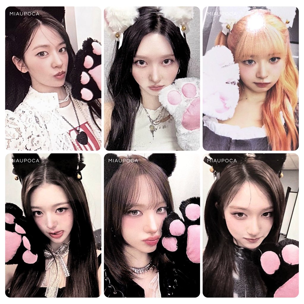 มาเบลที่ชอบนอนทั้งวัน❤️🐈‍⬛ (fan account) tweet media