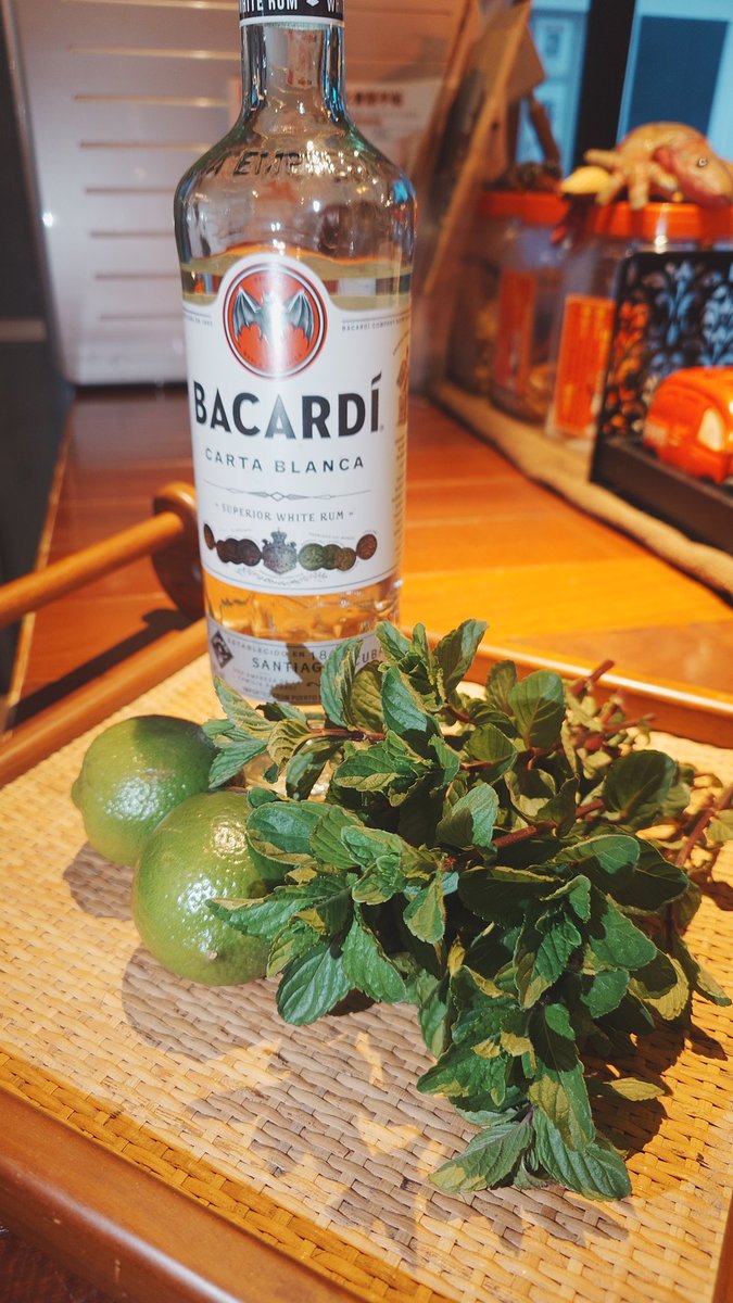 gecko323's tweet photo. 今年初収穫のイエルバブエナ🌿
初飲みモヒートお待ちしてます😊 https://t.co/RuK9rcro5d