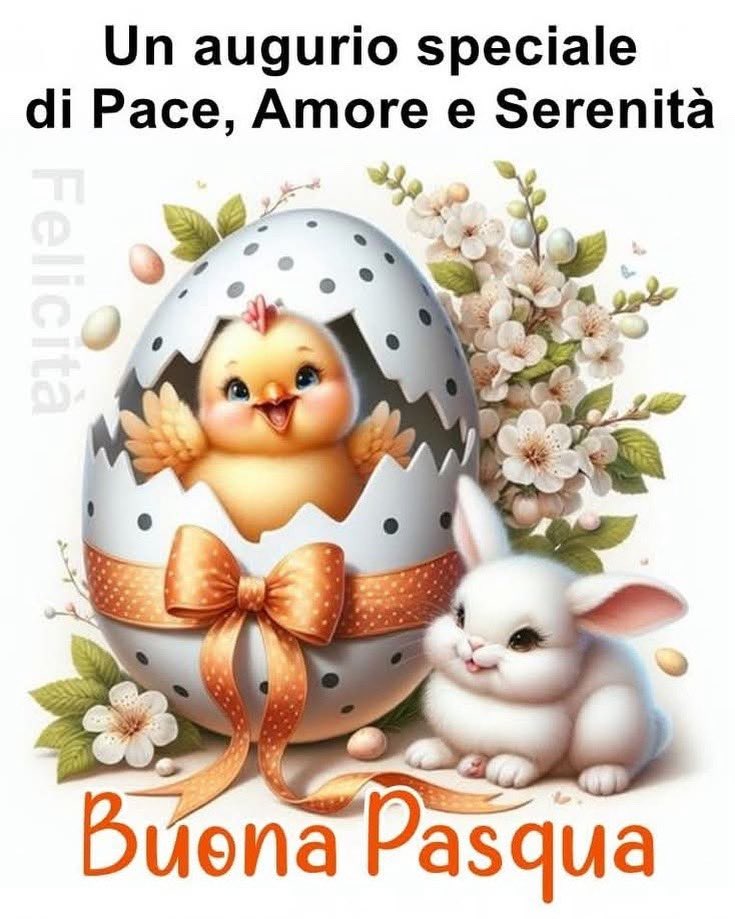 robertominale's tweet photo. https://t.co/kw5vdORzZQ