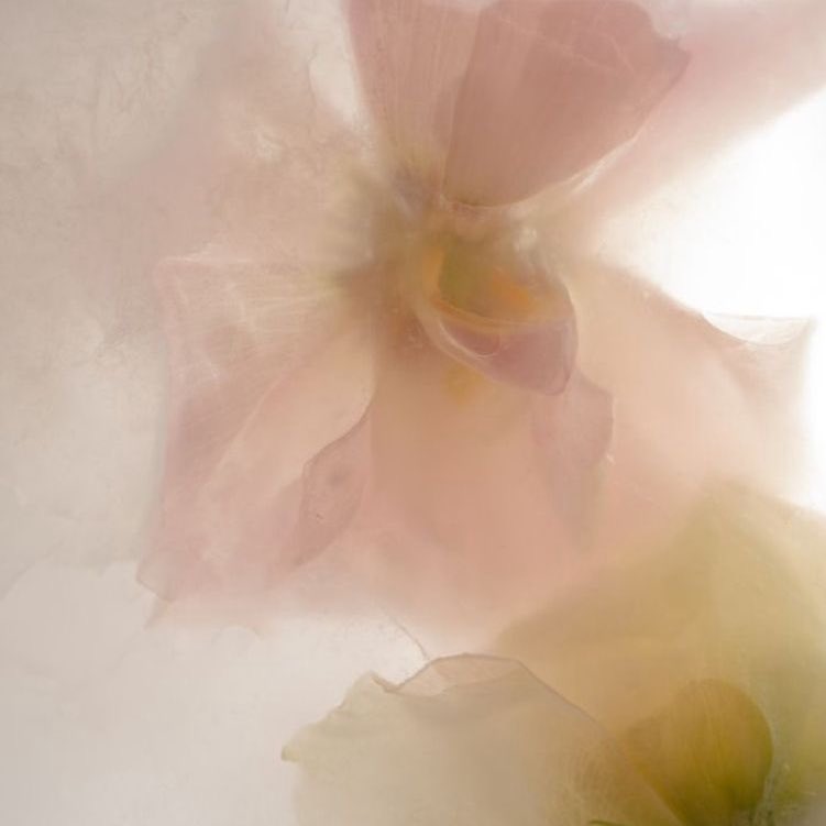 Strawberry tweet media