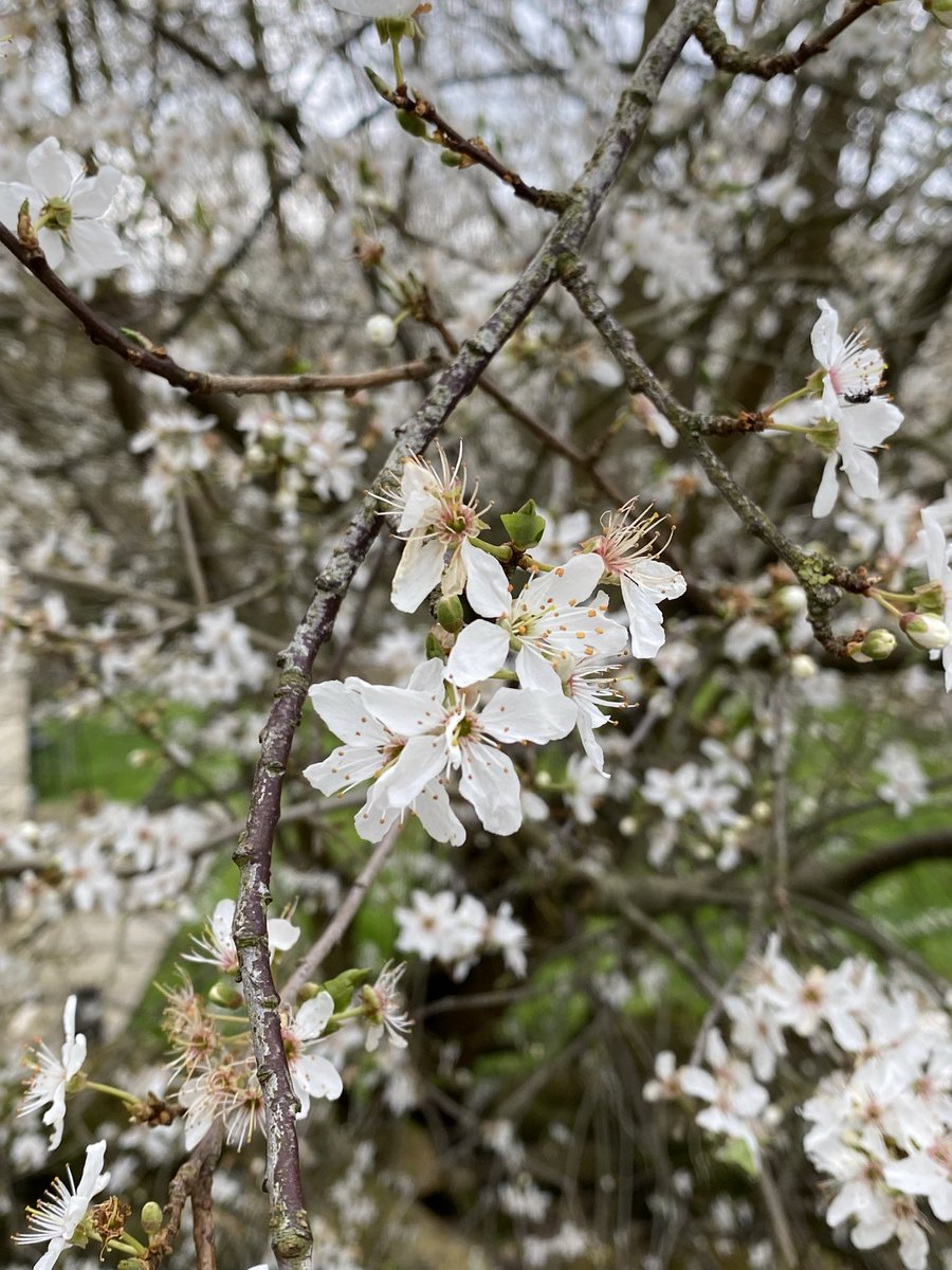 Kate Sheehan-Finn🇮🇪🇪🇺✍️📖🏛🏺 tweet media