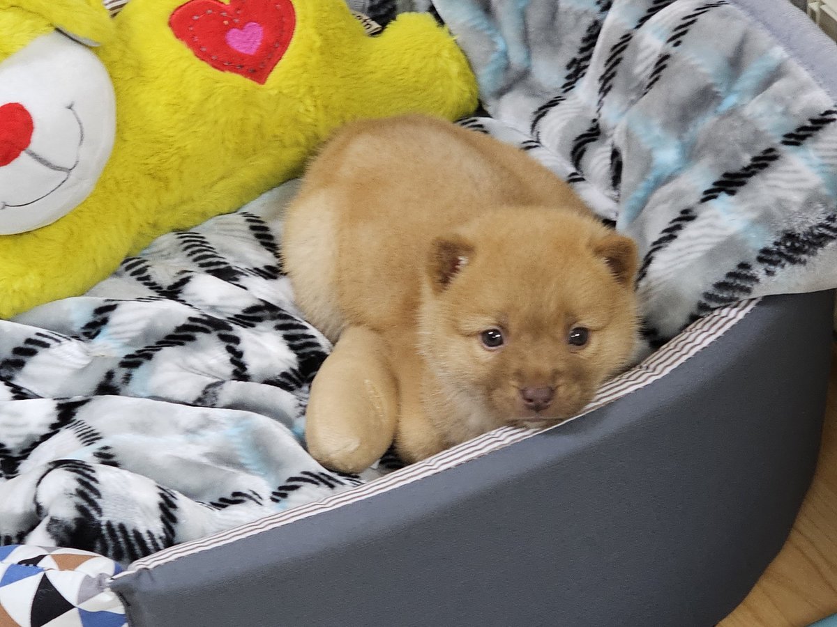 구쟌시즌4 tweet media