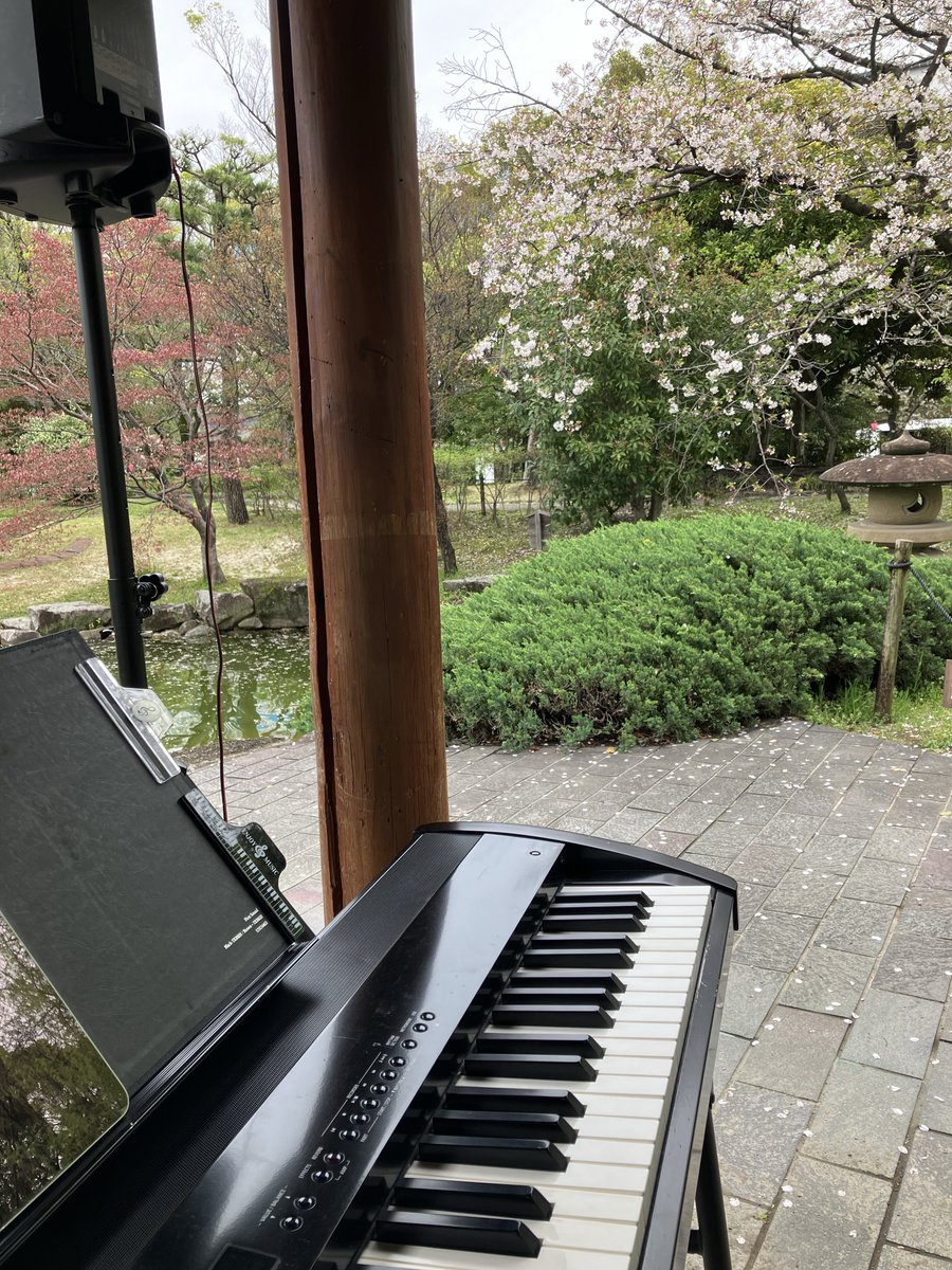 hiroko_pfgp's tweet photo. 今年の荒子川公園さくらまつりもありがとうございました✨
昨日の大嵐で桜を心配しましたが間に合ってよかった…！
穏やかなお天気で日本庭園を楽しむことができました🌸 https://t.co/EjLAPnWvto