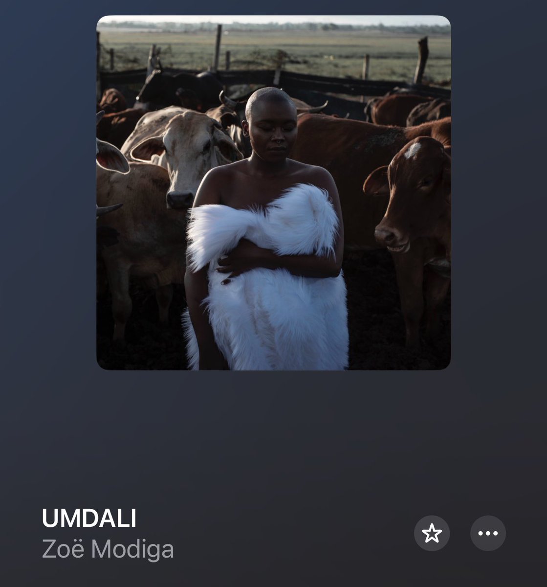 tumisole's tweet photo. Zoë Modiga ~ Umdali 🙏🏿 https://t.co/84JcxW0f5Y