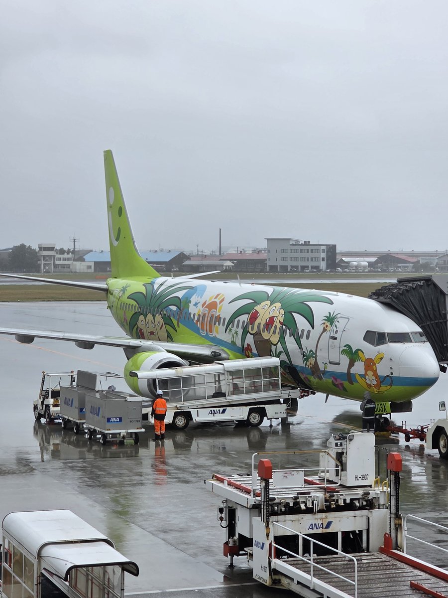 duran091's tweet photo. 宮崎ブーゲンビリア空港に行きました。空港内には巨大なナッシーが。
JR宮崎駅近くにある店で本場のチキン南蛮定食を頂きました。
とても肉厚で美味しかったです。
#宮崎ブーゲンビリア空港 #宮崎空港 #ナッシー #ナッシージェット #チキン南蛮 https://t.co/rlivfqDxgJ