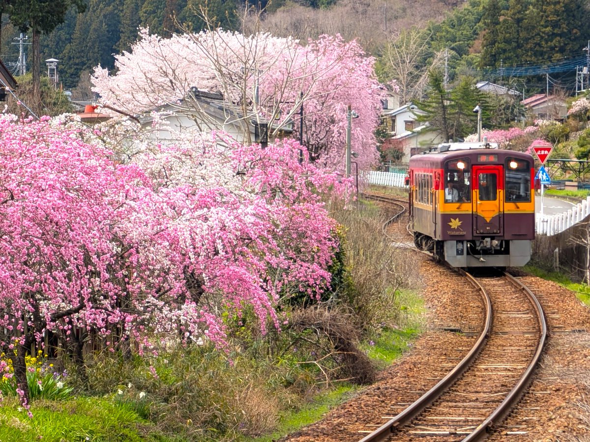 ﾄﾞﾗｲﾌﾞ400 tweet media