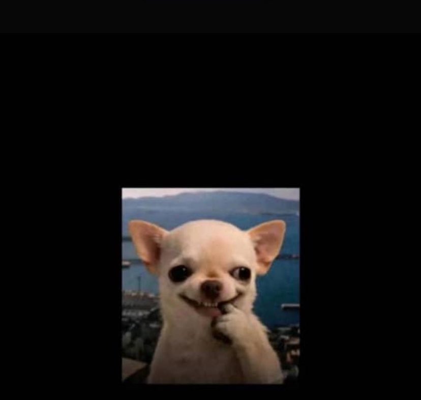 Blackdiamond ❤️ tweet media