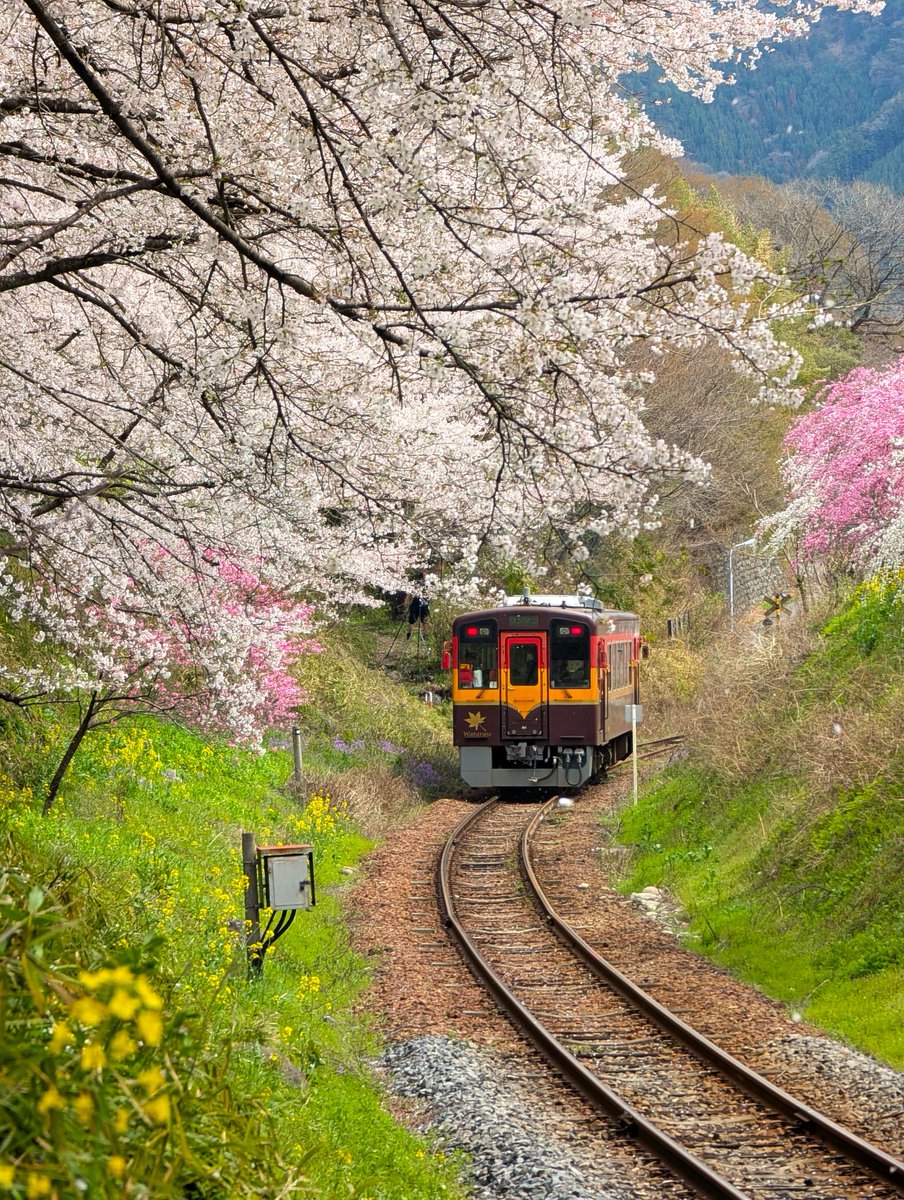 ﾄﾞﾗｲﾌﾞ400 tweet media