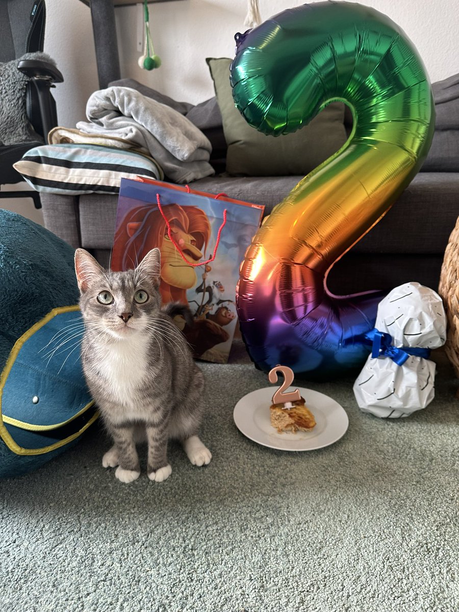 Tueppelchen 💚🩵🧡 tweet media