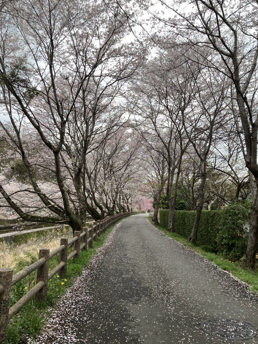 イガイガ tweet media