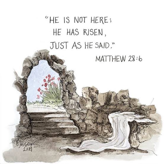 Cookedgooseinflorida 🐊 tweet media