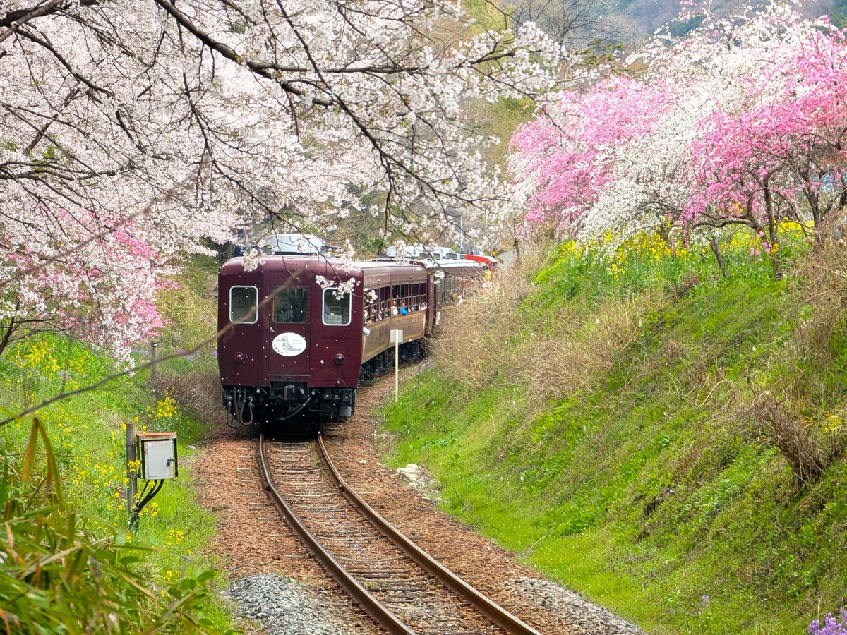 ﾄﾞﾗｲﾌﾞ400 tweet media