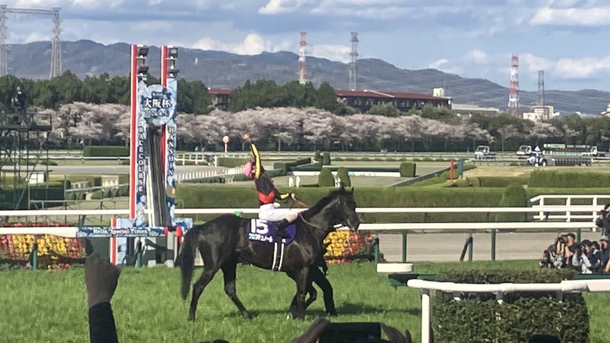 ヨシダミアン tweet media