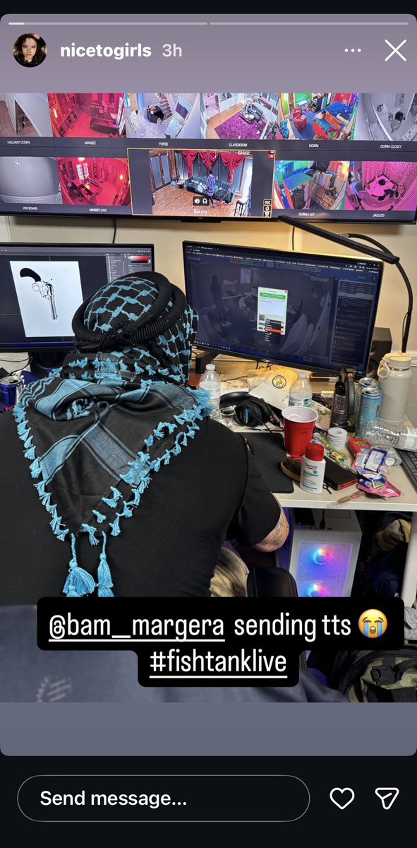 cat enjoyer tweet media