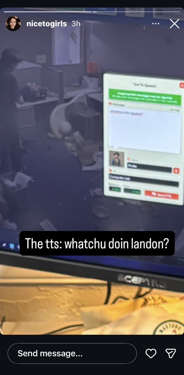 cat enjoyer tweet media