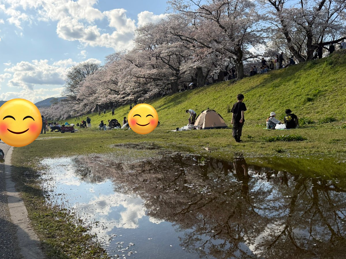 わふ tweet media
