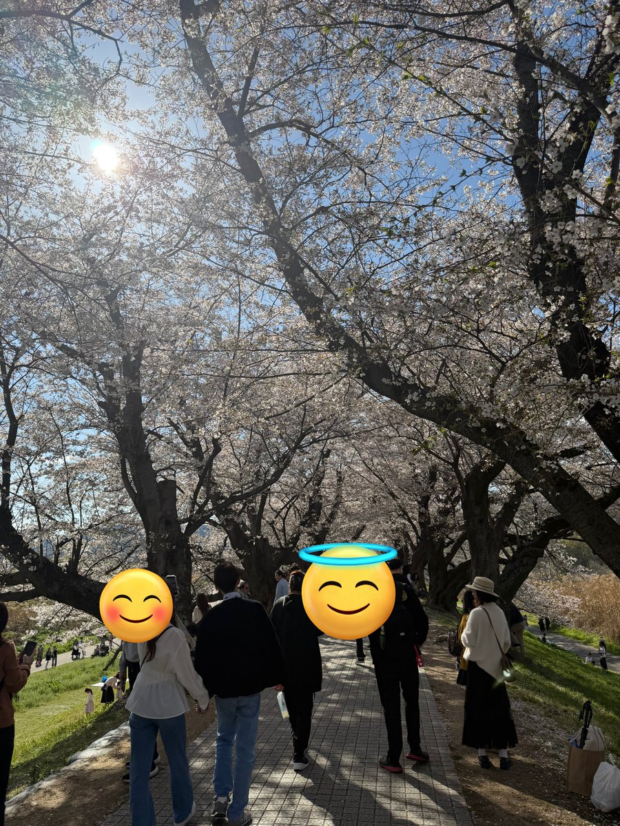 わふ tweet media