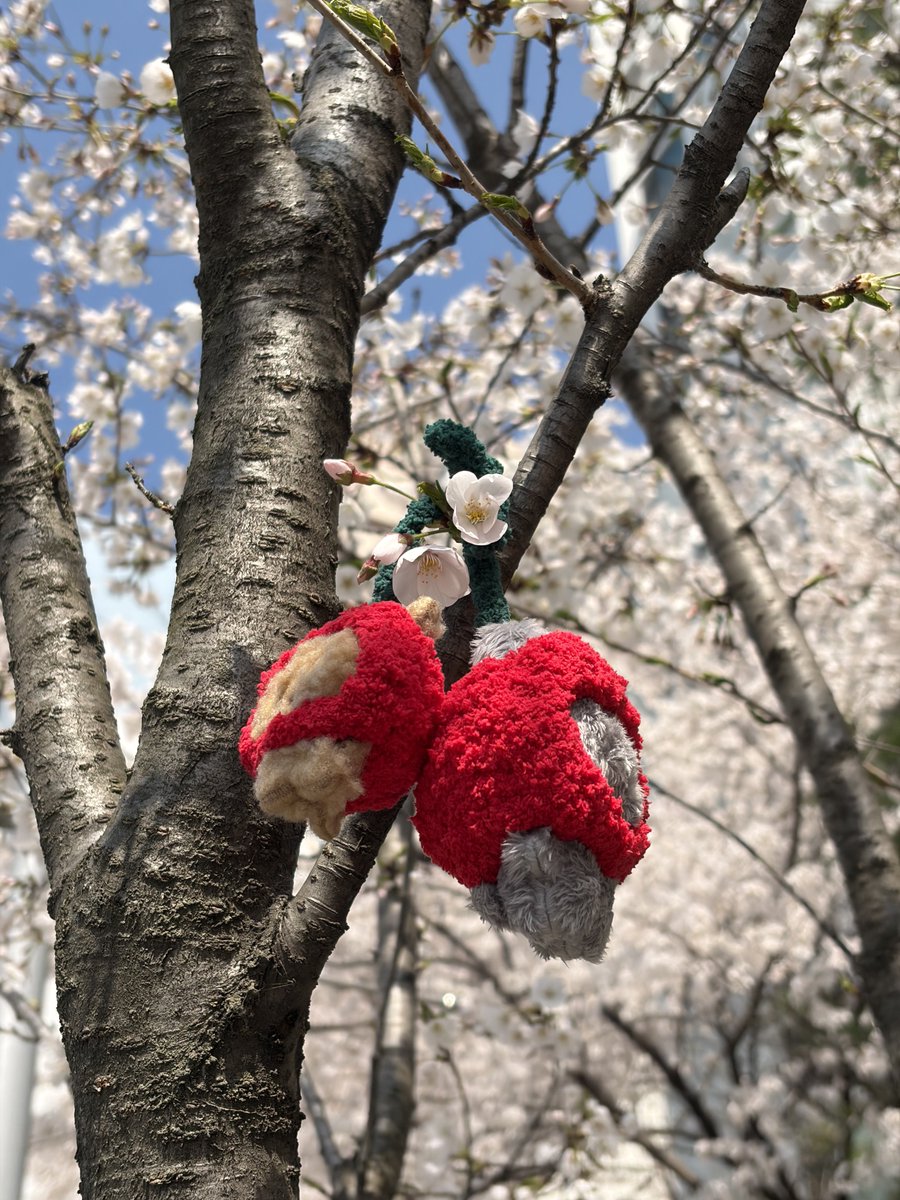 농놀피자🍤 tweet media