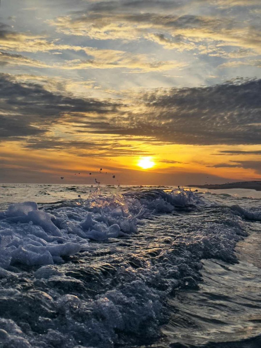 Merle🌷 tweet media