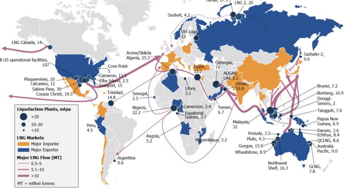 Jack Prandelli tweet media