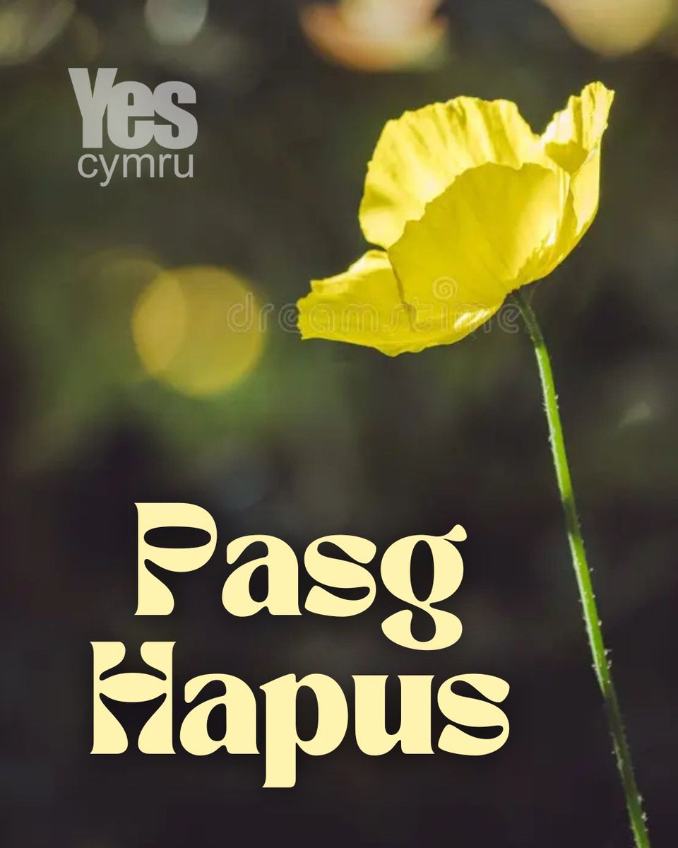 YesCymru tweet media