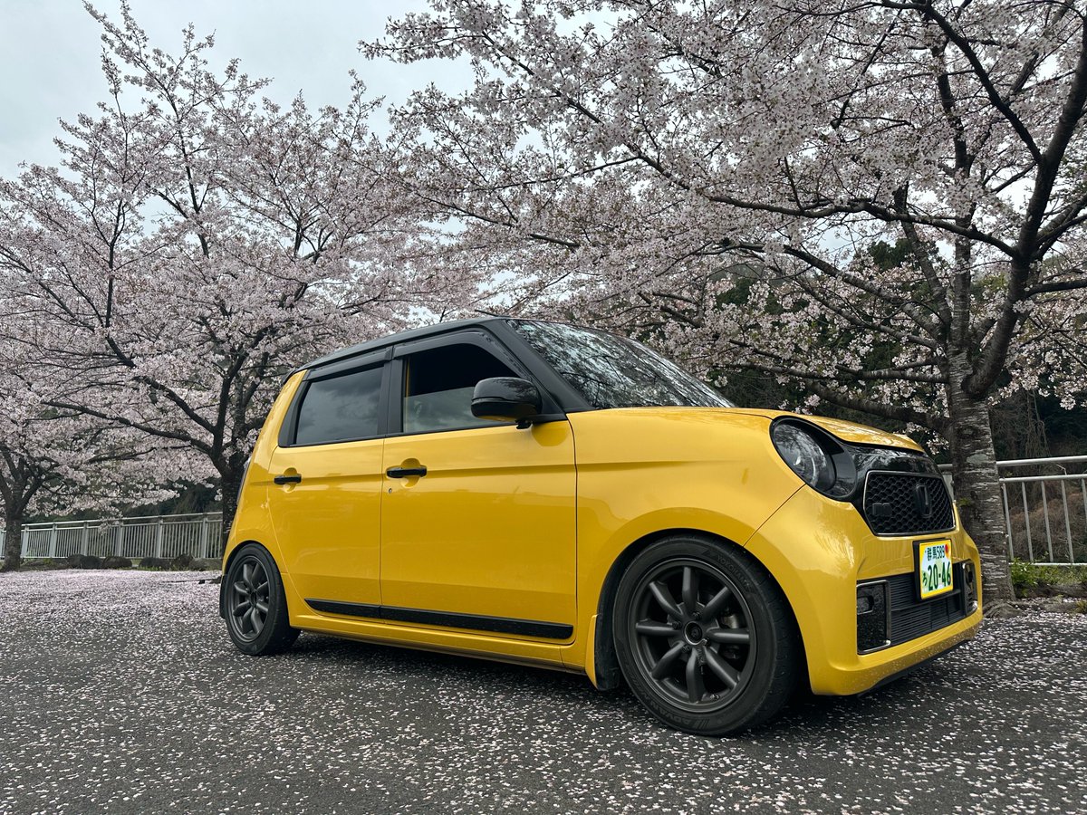 まんま@燕心全開2896 tweet media