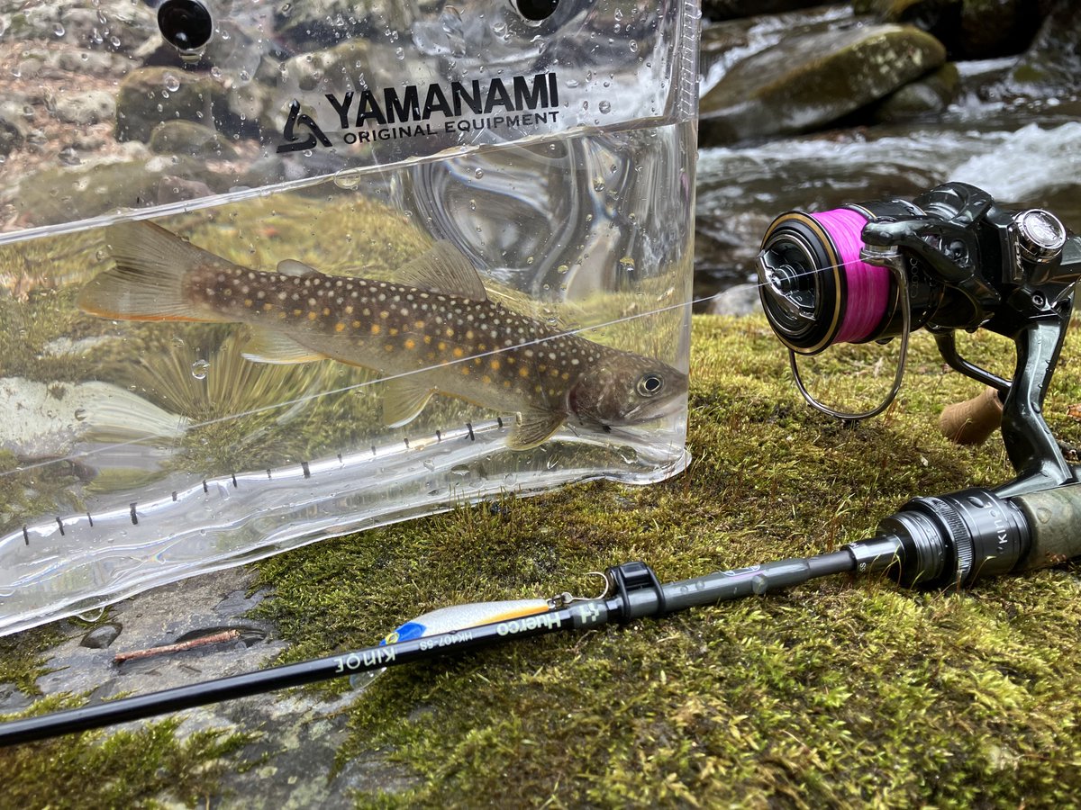 きんぐサーモンP tweet media