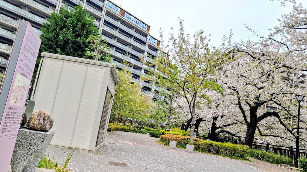 南極観測隊員🇦🇶 昭和基地も南極半島も行ってきた!聖地巡礼😆空中氷園📙山椒魚 tweet media