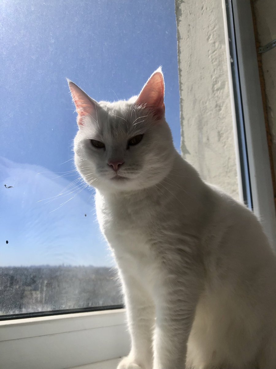 Кирило Весна | Indie 💙💛 tweet media