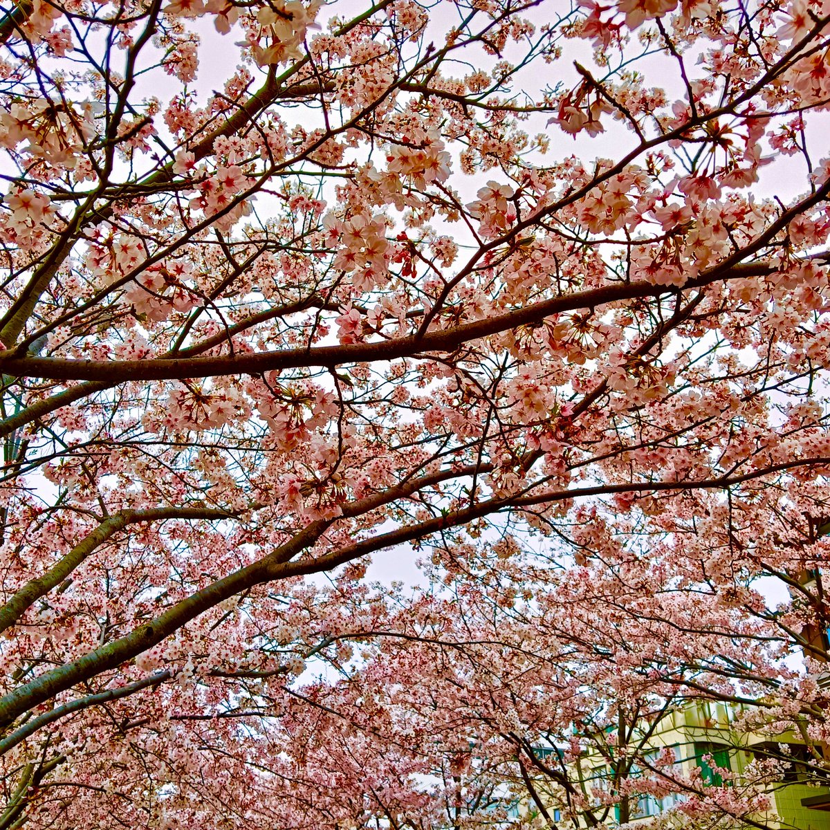 葉月ソウタ｜ゆるストイックなお金の話 tweet media