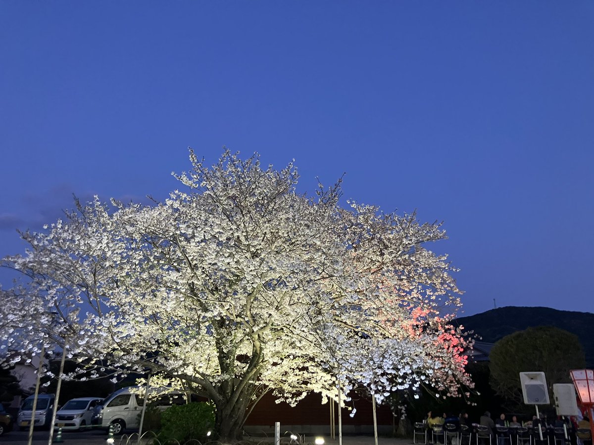 ノリー tweet media