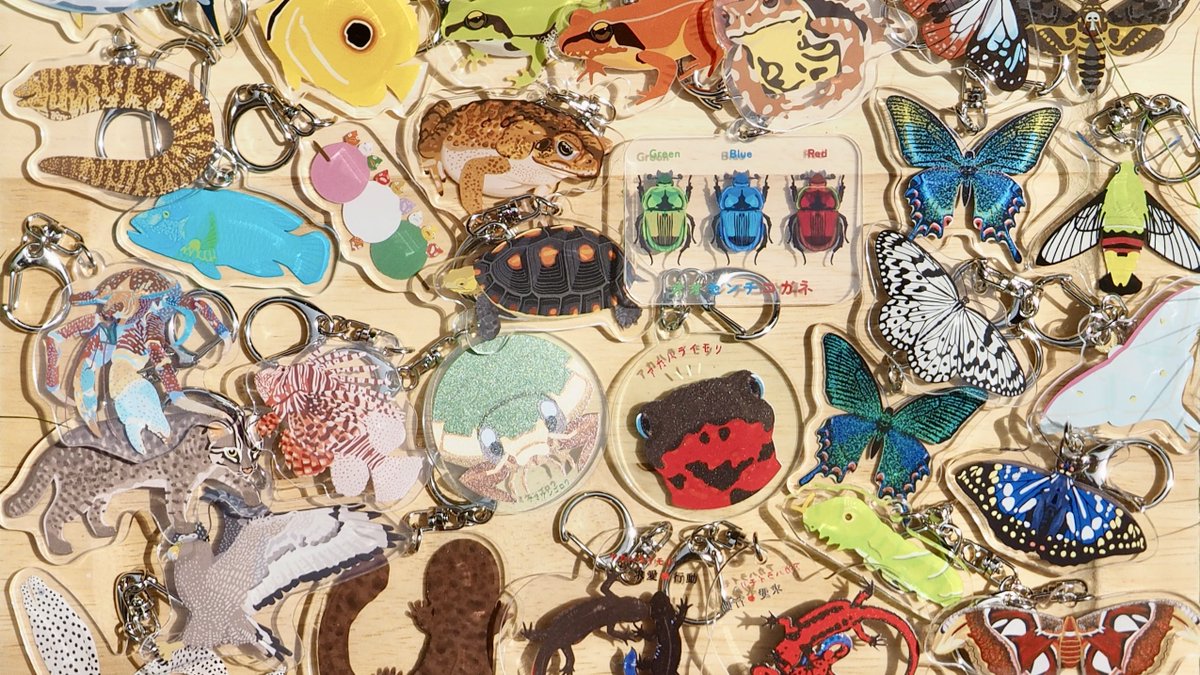 さちこの生物雑貨(👶🏻育休中) tweet media