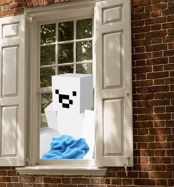 Gusty 🩵 tweet media