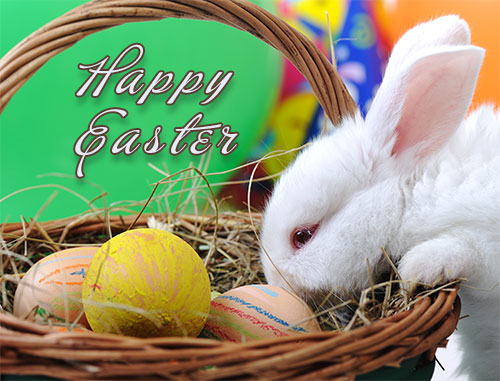 Spandexlover tweet media