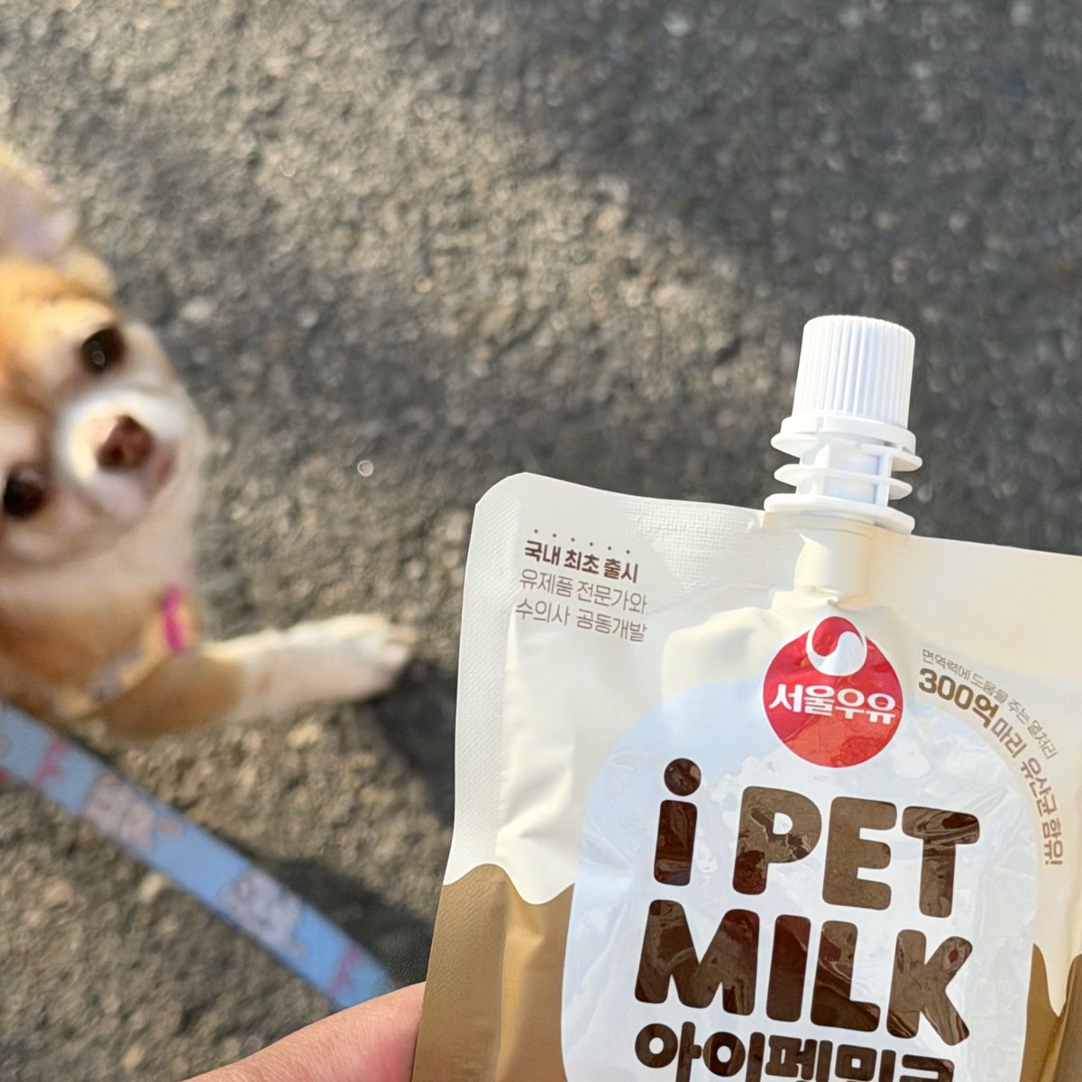 로키짱 tweet media