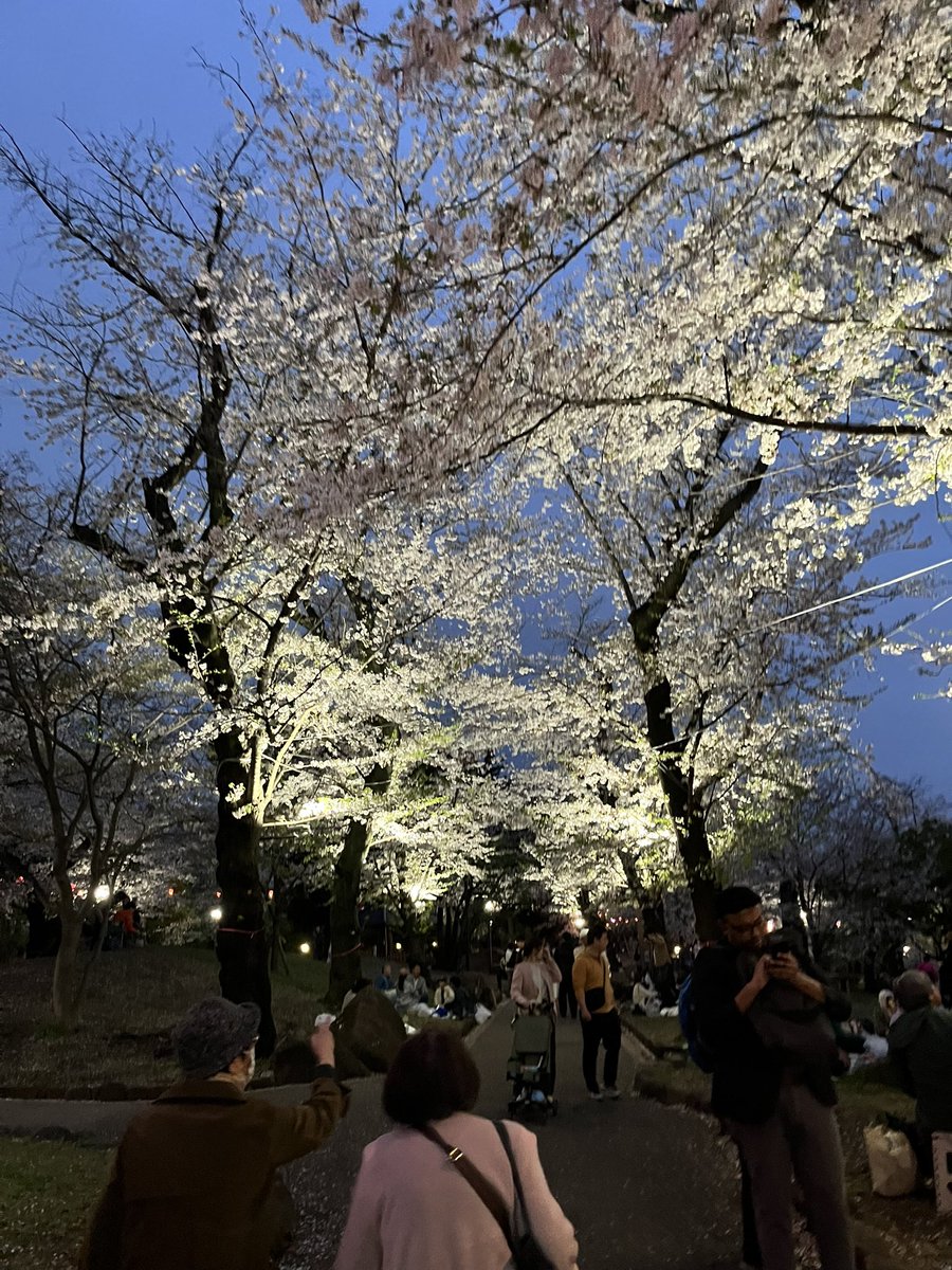 ちぇる tweet media