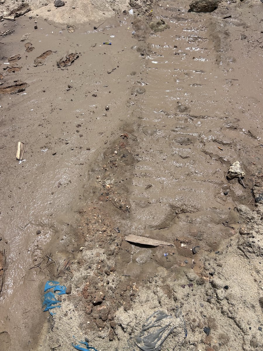 John kalage 🇹🇿 tweet media