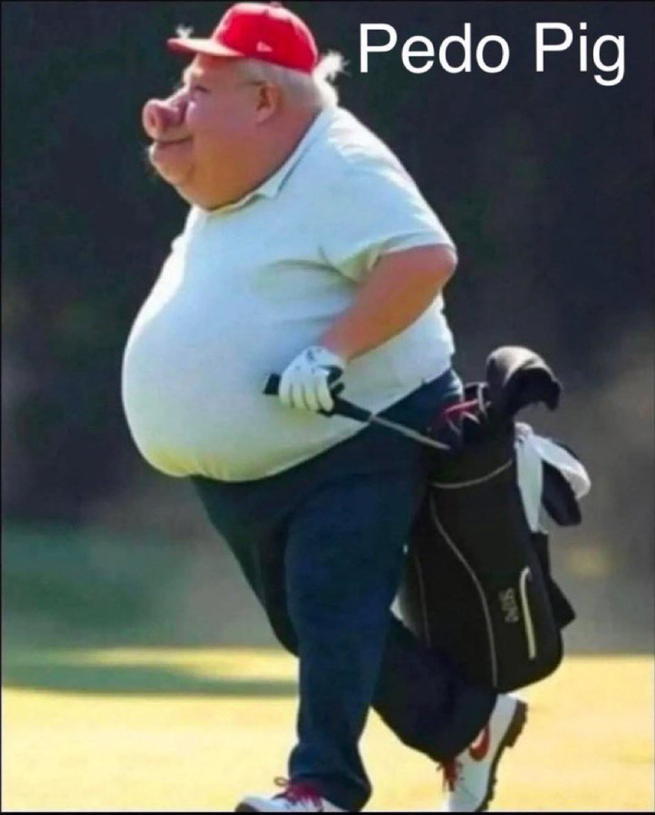 Mark Summers 🇮🇪 tweet media