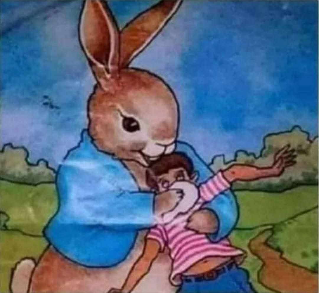 Emma Dolan tweet media