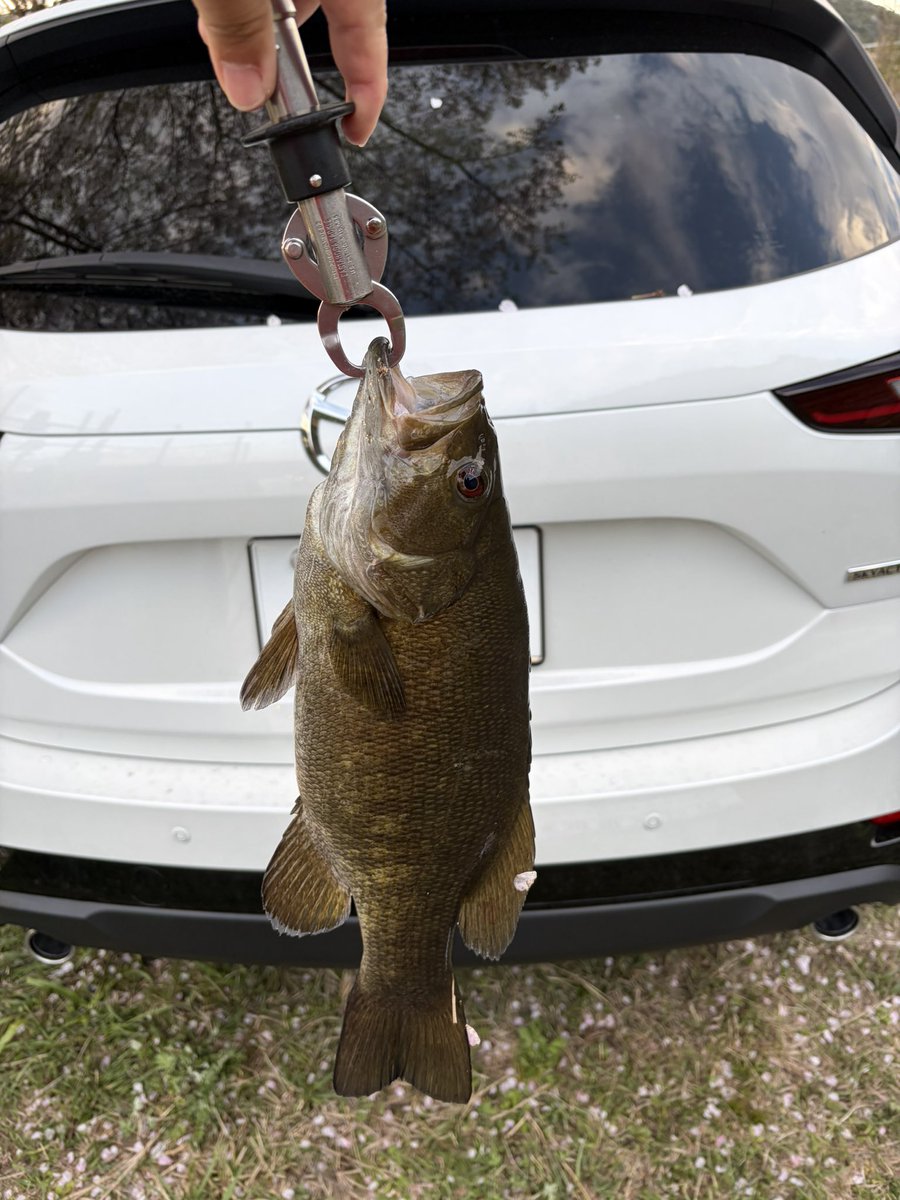 キーさん tweet media