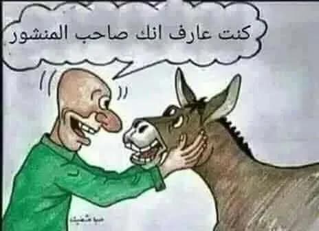 aboali3i3's tweet photo. @mahdimajeed8 https://t.co/rY2LU0UPz7