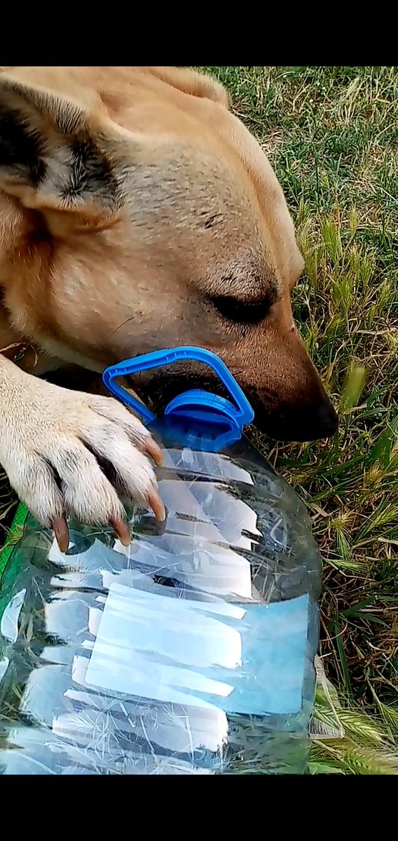 Kemâl Güven tweet media