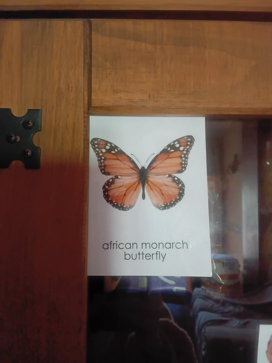 An Blanco tweet media