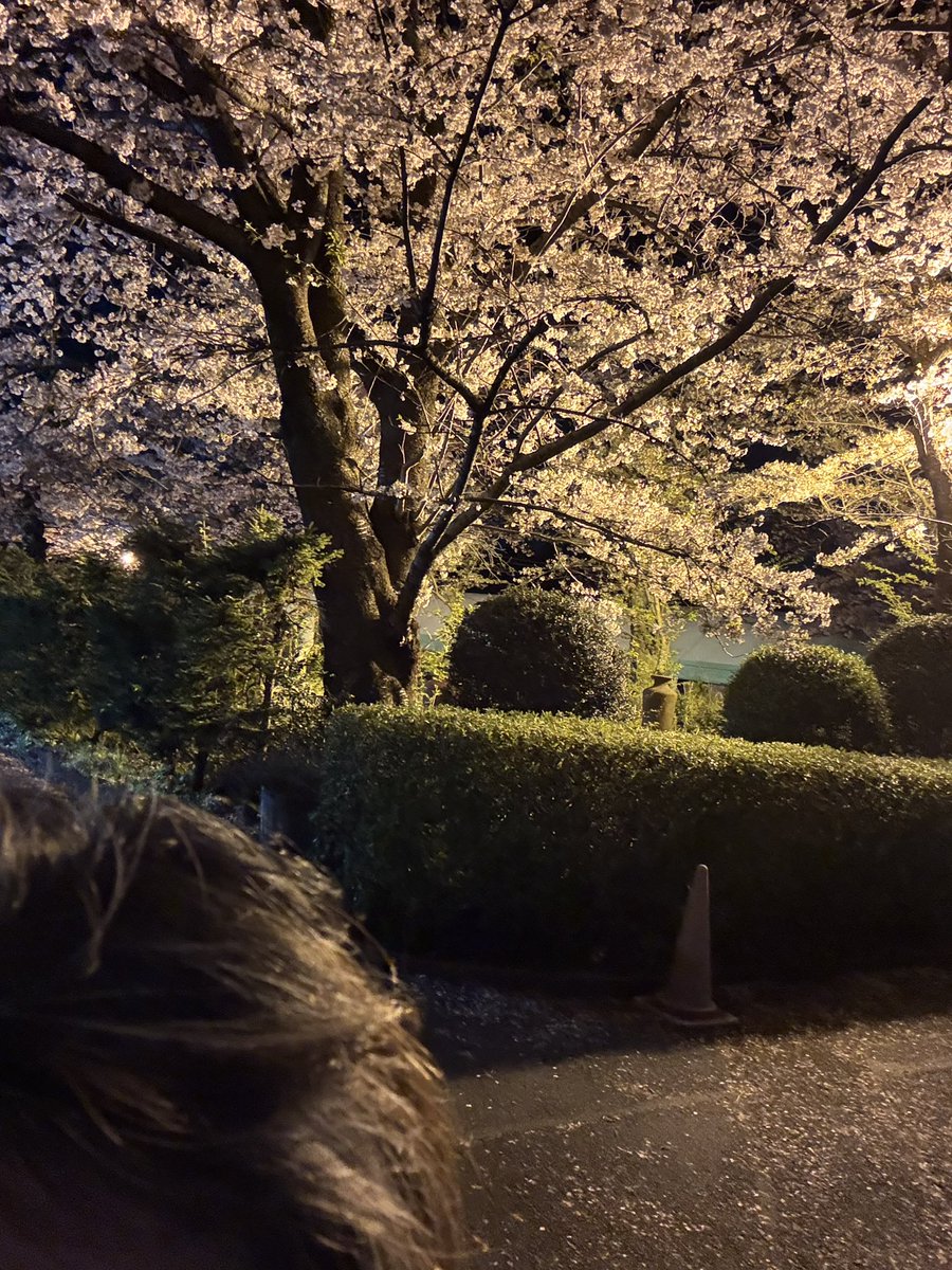 あけみさん tweet media