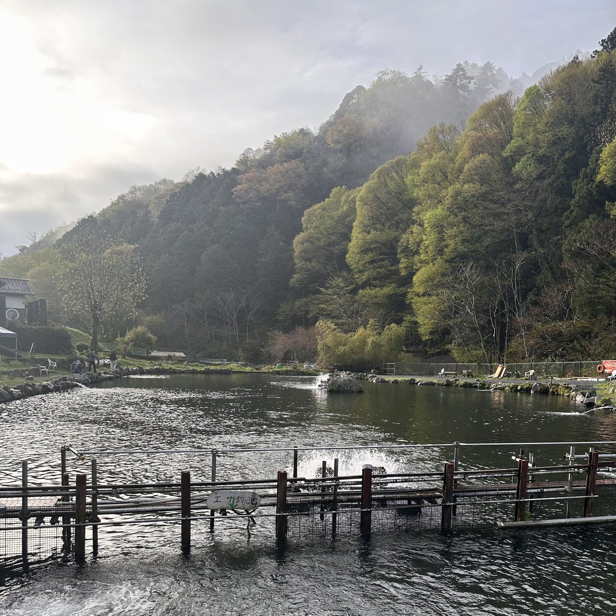 🥑miwako🥑 tweet media