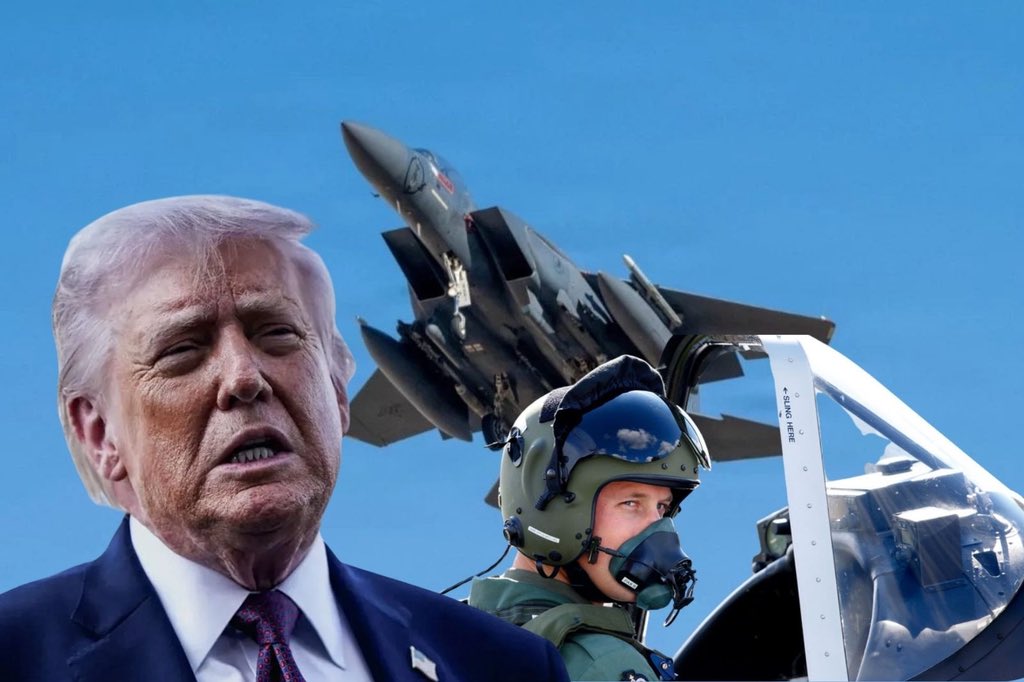 DİGİ PAPER tweet media