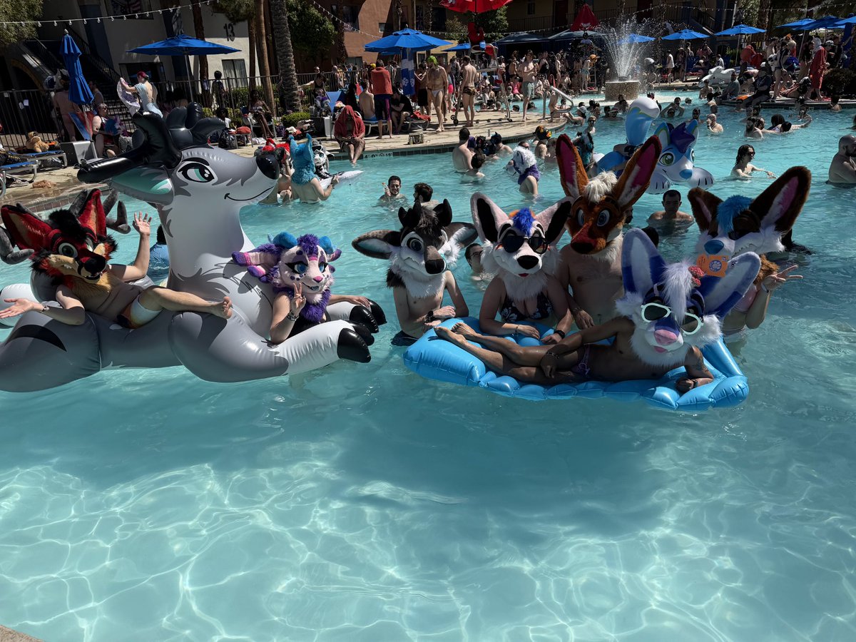 Eclipse🦌➡️LVFC/FWA/MP tweet media